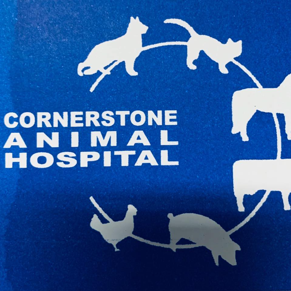 cornerstone vet cornerstone vet