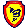 Bee Force Security Agency – Iloilo