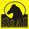 Stallion Security Agency, Inc.